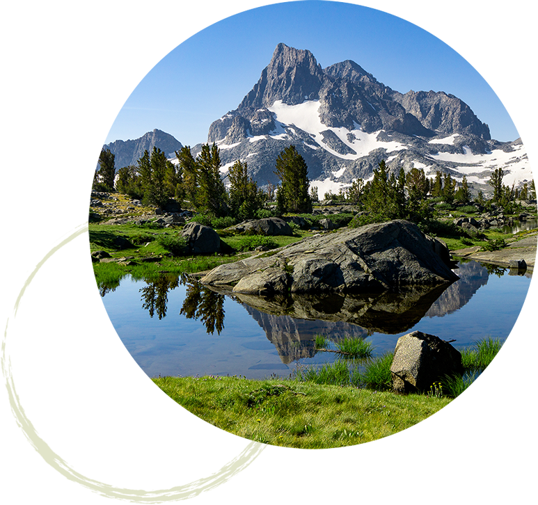 Snowcapped mountain by a river with lush green grass and trees