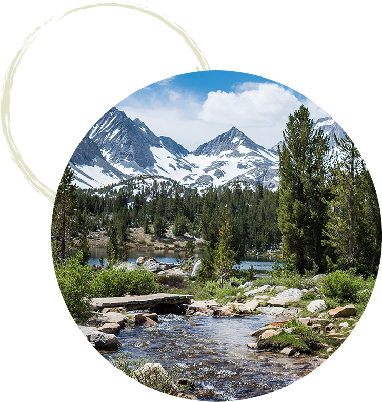 Rocky river scene with pine trees and snow covered mountains
